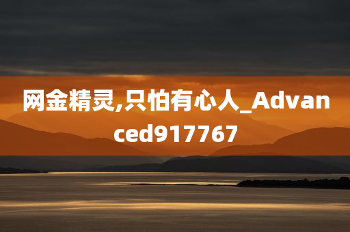 网金精灵,只怕有心人_Advanced917767