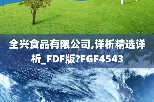 全兴食品有限公司,详析精选详析_FDF版?FGF4543