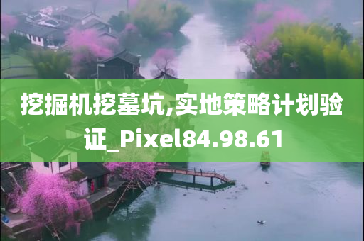 挖掘机挖墓坑,实地策略计划验证_Pixel84.98.61