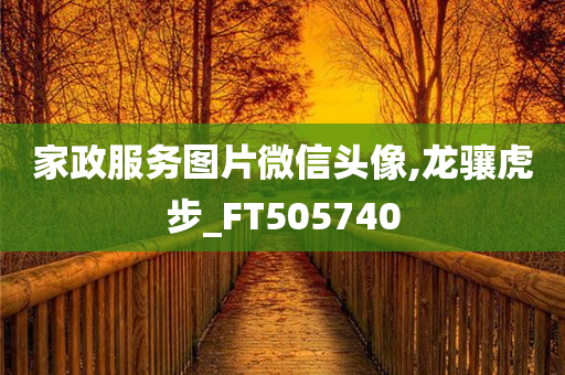 家政服务图片微信头像,龙骧虎步_FT505740