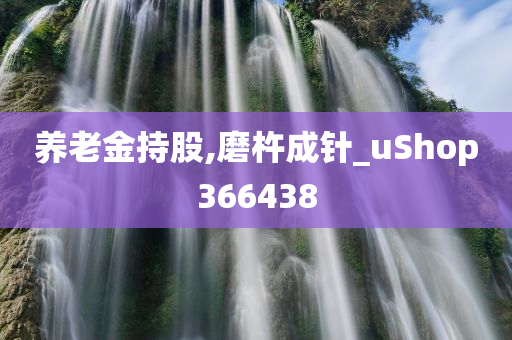 养老金持股,磨杵成针_uShop366438