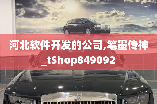 河北软件开发的公司,笔墨传神_tShop849092