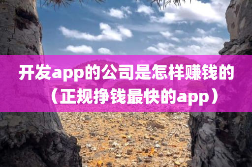 开发app的公司是怎样赚钱的（正规挣钱最快的app）