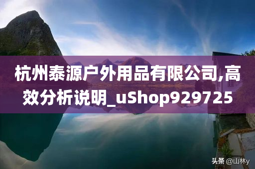 杭州泰源户外用品有限公司,高效分析说明_uShop929725