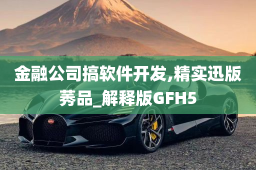 金融公司搞软件开发,精实迅版莠品_解释版GFH5