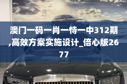 澳门一码一肖一恃一中312期,高效方案实施设计_倍心版2677