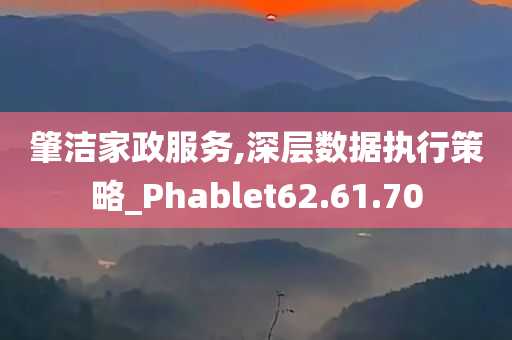 肇洁家政服务,深层数据执行策略_Phablet62.61.70