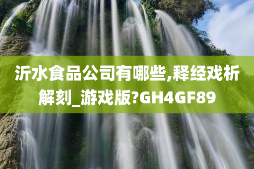 沂水食品公司有哪些,释经戏析解刻_游戏版?GH4GF89