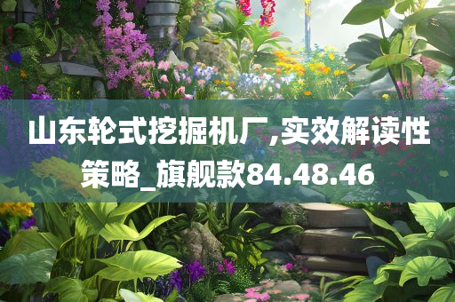 山东轮式挖掘机厂,实效解读性策略_旗舰款84.48.46