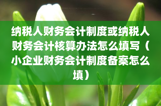 纳税人财务会计制度或纳税人财务会计核算办法怎么填写（小企业财务会计制度备案怎么填）