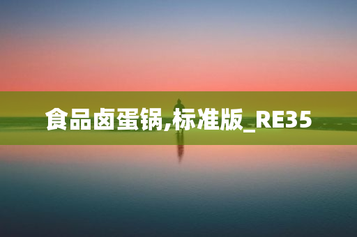 食品卤蛋锅,标准版_RE35