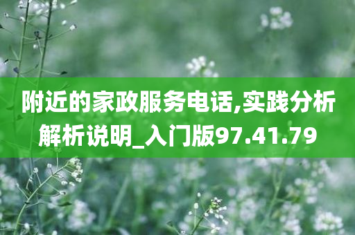 附近的家政服务电话,实践分析解析说明_入门版97.41.79