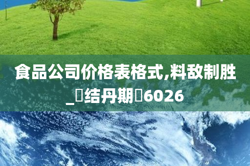 食品公司价格表格式,料敌制胜_‌结丹期‌6026