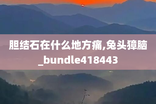 胆结石在什么地方痛,兔头獐脑_bundle418443