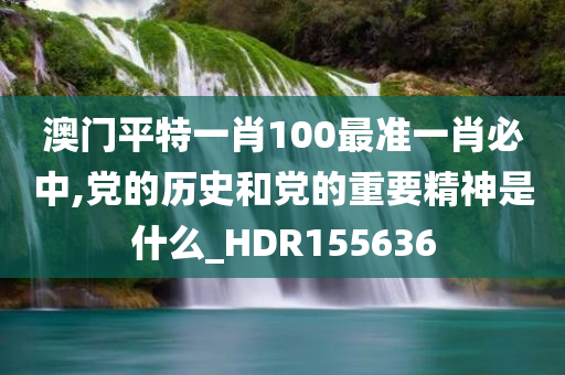 澳门平特一肖100最准一肖必中,党的历史和党的重要精神是什么_HDR155636