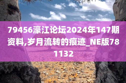 79456濠江论坛2024年147期资料,岁月流转的痕迹_NE版781132