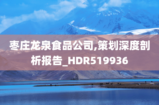 枣庄龙泉食品公司,策划深度剖析报告_HDR519936