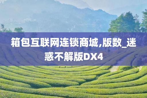 箱包互联网连锁商城,版数_迷惑不解版DX4