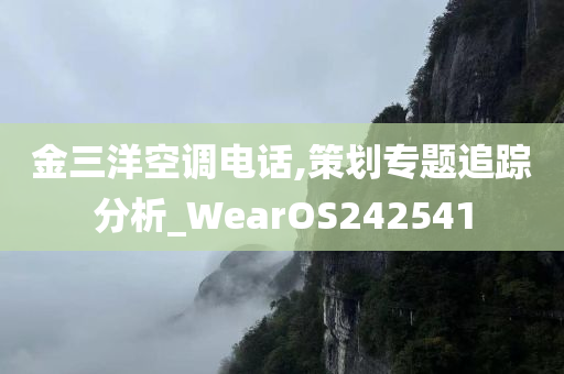 金三洋空调电话,策划专题追踪分析_WearOS242541