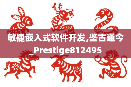 敏捷嵌入式软件开发,鉴古通今_Prestige812495