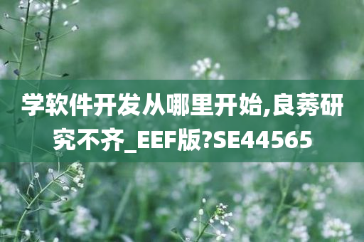 学软件开发从哪里开始,良莠研究不齐_EEF版?SE44565