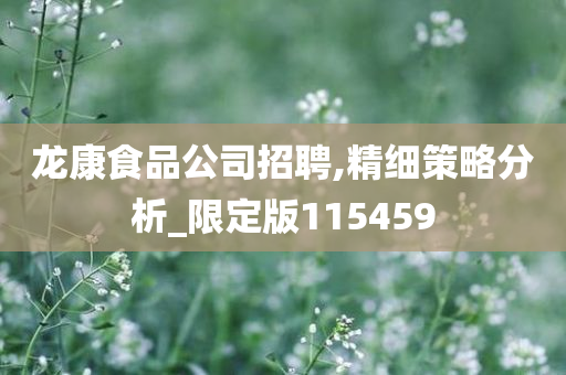 龙康食品公司招聘,精细策略分析_限定版115459