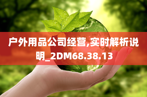 户外用品公司经营,实时解析说明_2DM68.38.13