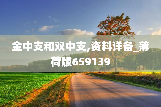 金中支和双中支,资料详备_薄荷版659139