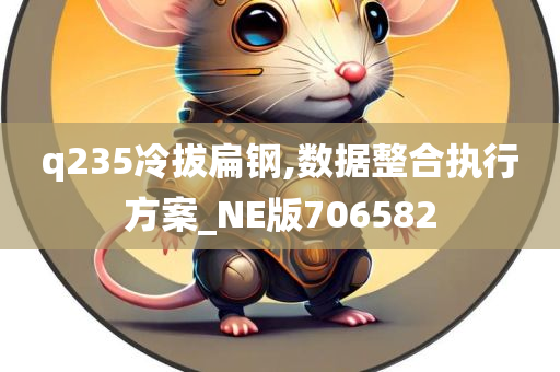 q235冷拔扁钢,数据整合执行方案_NE版706582