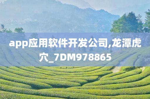 app应用软件开发公司,龙潭虎穴_7DM978865