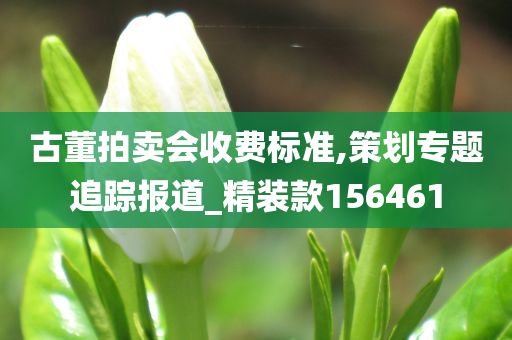 古董拍卖会收费标准,策划专题追踪报道_精装款156461