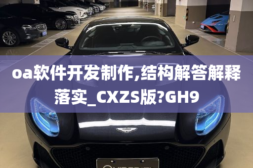 oa软件开发制作,结构解答解释落实_CXZS版?GH9