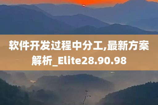 软件开发过程中分工,最新方案解析_Elite28.90.98