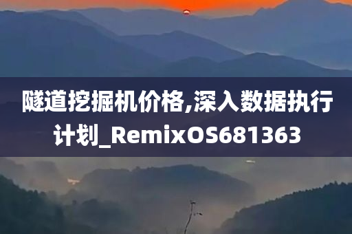 隧道挖掘机价格,深入数据执行计划_RemixOS681363