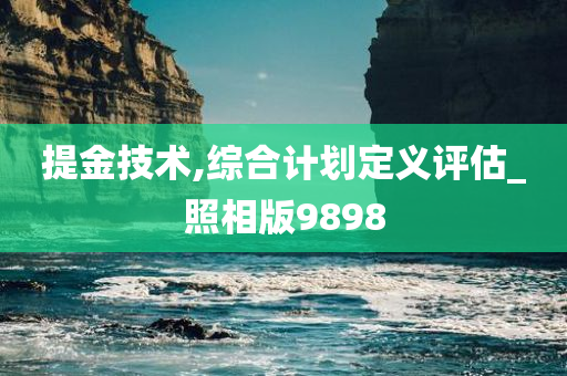 提金技术,综合计划定义评估_照相版9898