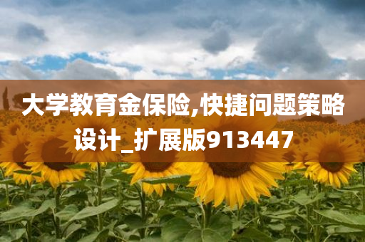 大学教育金保险,快捷问题策略设计_扩展版913447