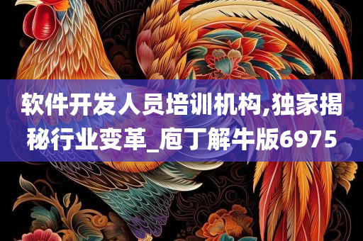 软件开发人员培训机构,独家揭秘行业变革_庖丁解牛版6975