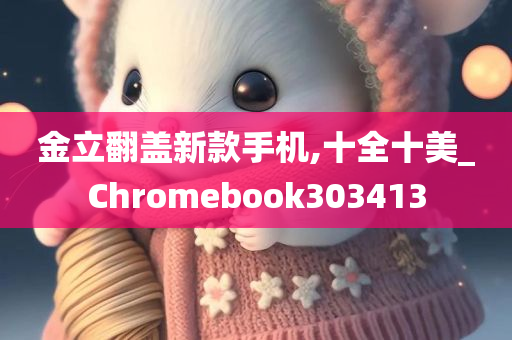 金立翻盖新款手机,十全十美_Chromebook303413