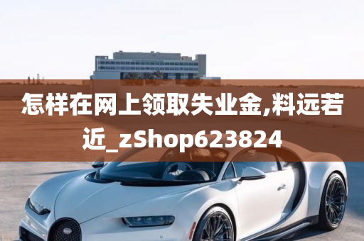 怎样在网上领取失业金,料远若近_zShop623824