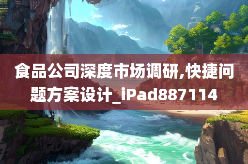 食品公司深度市场调研,快捷问题方案设计_iPad887114