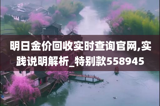 明日金价回收实时查询官网,实践说明解析_特别款558945