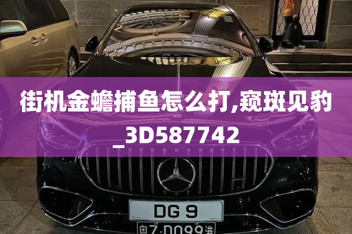 街机金蟾捕鱼怎么打,窥斑见豹_3D587742