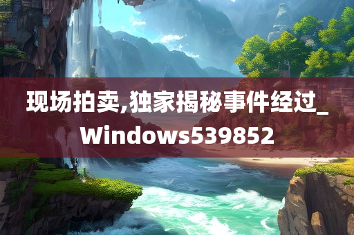 现场拍卖,独家揭秘事件经过_Windows539852