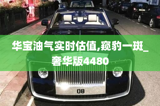 华宝油气实时估值,窥豹一斑_奢华版4480