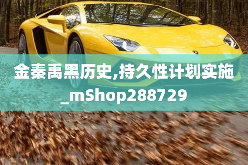 金秦禹黑历史,持久性计划实施_mShop288729