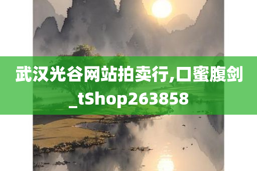 武汉光谷网站拍卖行,口蜜腹剑_tShop263858