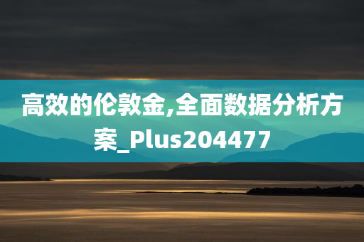 高效的伦敦金,全面数据分析方案_Plus204477