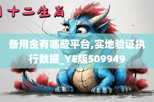 备用金有哪些平台,实地验证执行数据_YE版509949