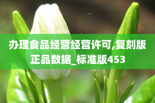 办理食品经营经营许可,复刻版正品数据_标准版453