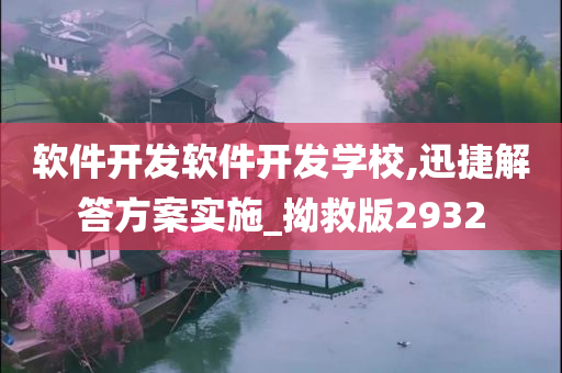 软件开发软件开发学校,迅捷解答方案实施_拗救版2932